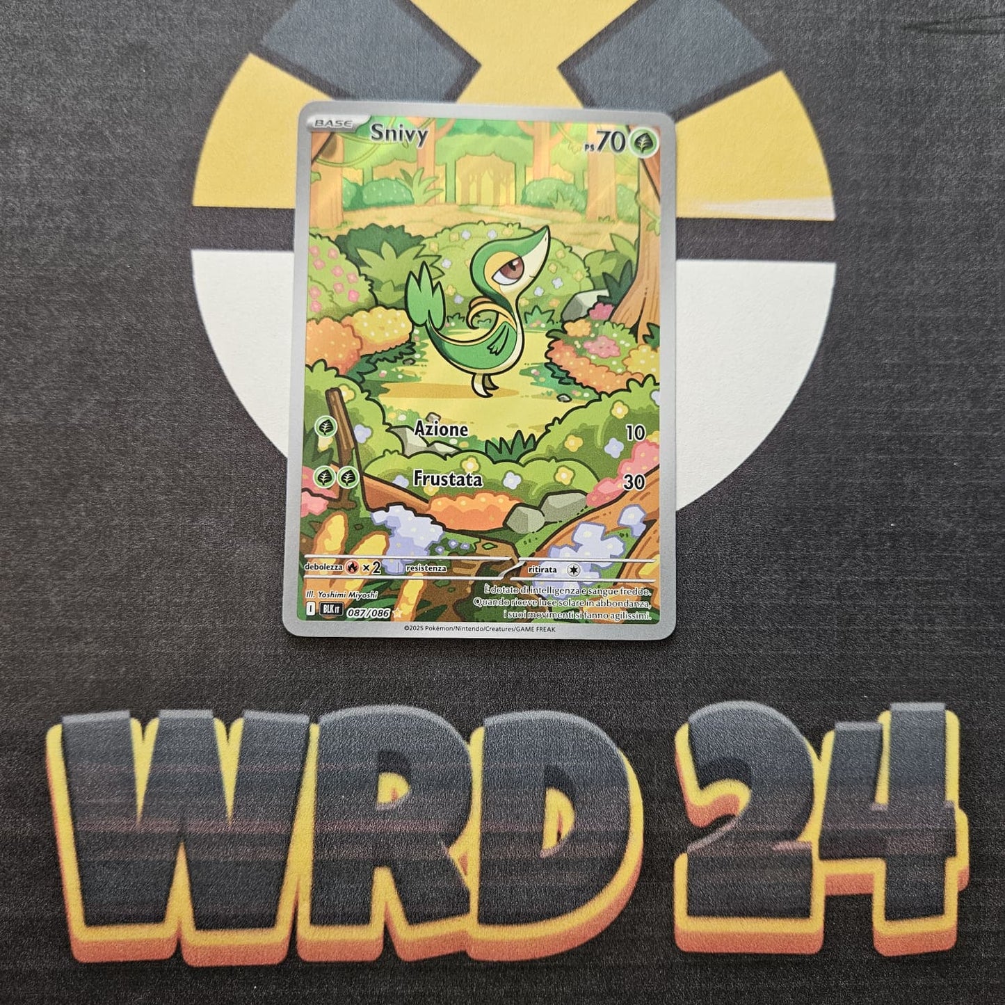 Snivy (BLK 087) ITA NEAR MINT