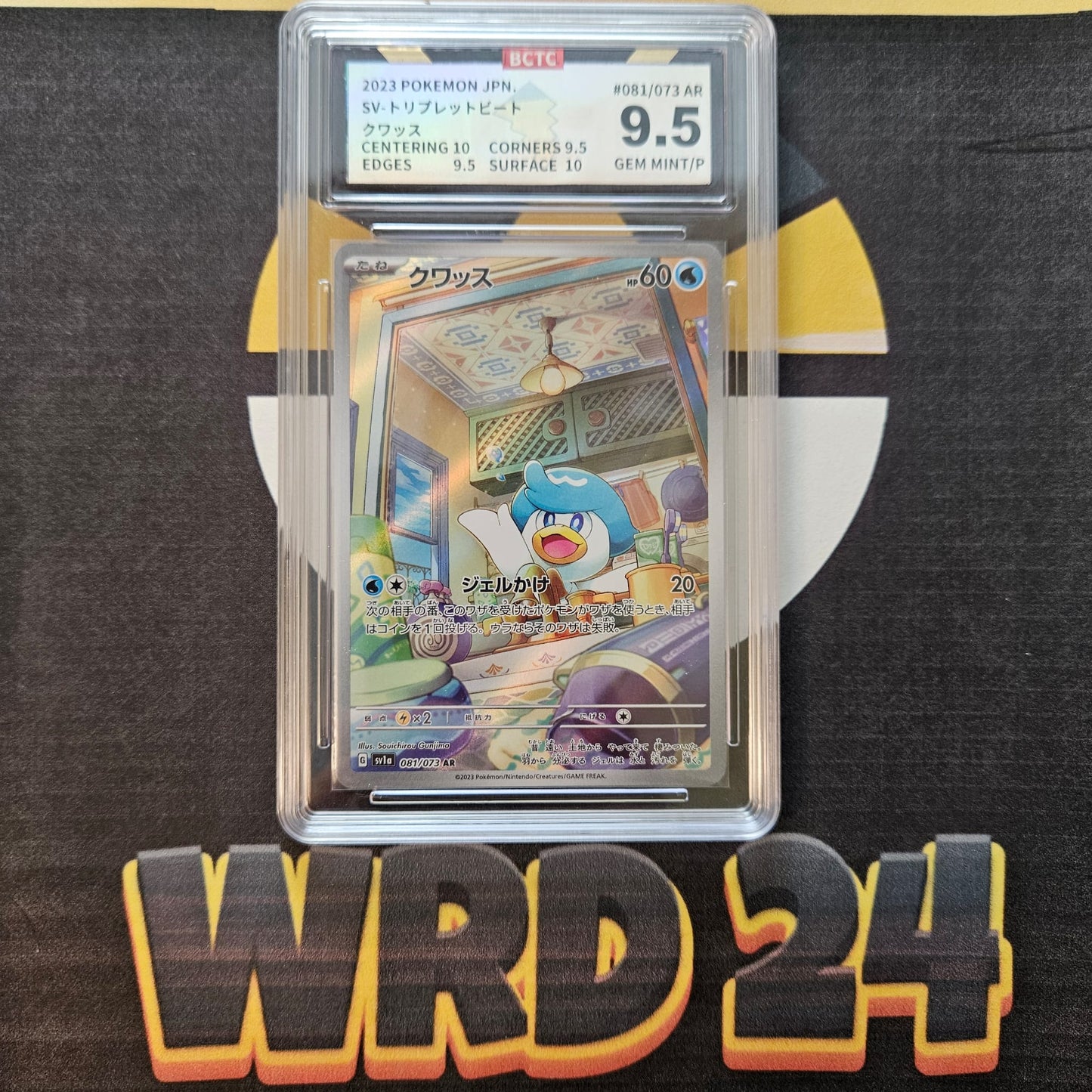 Quaxly (sv1a 081) JAP BCTC 9.5