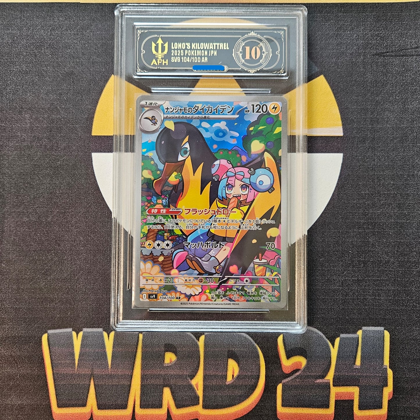 Kilowattrel di Kissara (sv9 104) JAP APH GRADING 10