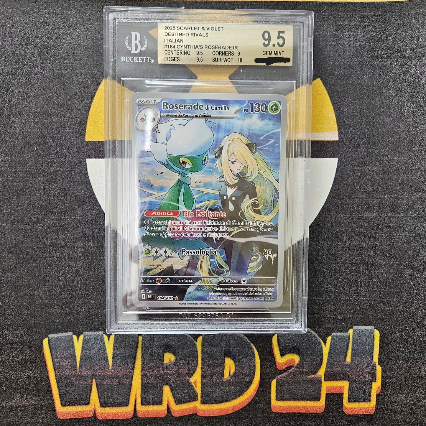 Roserade di Camilla (DRI 184) ITA BECKETT 9.5 P0P